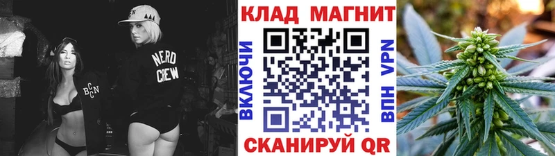 Где купить наркоту Сегежа COCAIN  Бошки Шишки 