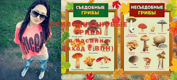 сатива Балабаново