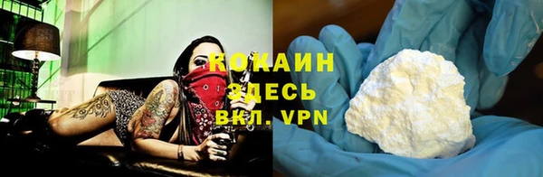 сатива Белокуриха
