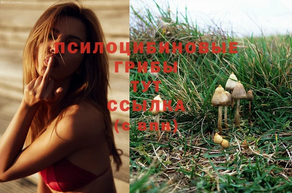 сатива Балабаново